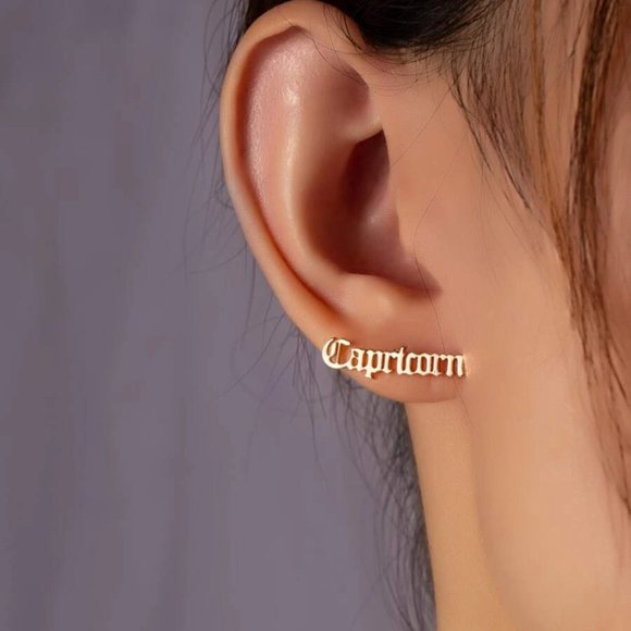 ✨ Holiday Clearance! Capricorn Earrings – Grab Fast! - Picture 1 of 5
